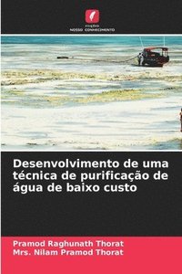 bokomslag Desenvolvimento de uma técnica de purificação de água de baixo custo
