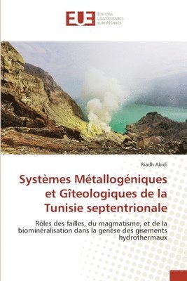bokomslag Systmes Mtallogniques et Gteologiques de la Tunisie septentrionale