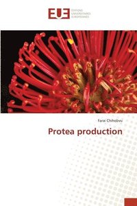 bokomslag Protea production