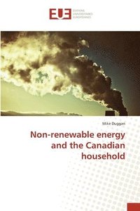 bokomslag Non-renewable energy and the Canadian household