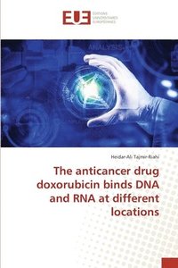 bokomslag The anticancer drug doxorubicin binds DNA and RNA at different locations