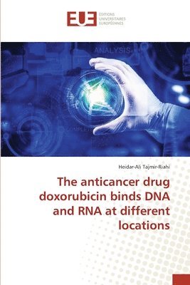 The anticancer drug doxorubicin binds DNA and RNA at different locations 1