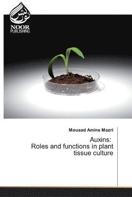 bokomslag Auxins