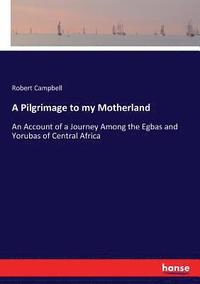 bokomslag Pilgrimage to my Motherland