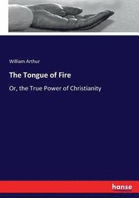 bokomslag Tongue of Fire