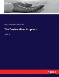 bokomslag The Twelve Minor Prophets