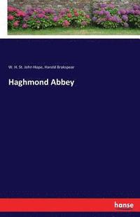bokomslag Haghmond Abbey
