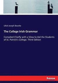 bokomslag The College Irish Grammar
