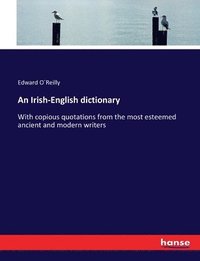 bokomslag An Irish-English dictionary