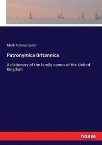 bokomslag Patronymica Britannica