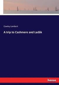 bokomslag A trip to Cashmere and Ladk