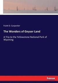 bokomslag The Wonders of Geyser Land