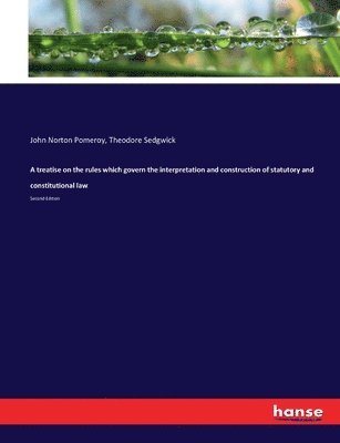 John Norton Pomeroy, Theodore Sedgwick Jr. - treatise on the rules which govern the interpretation and construction of statutory and constitutional law, Häftad
