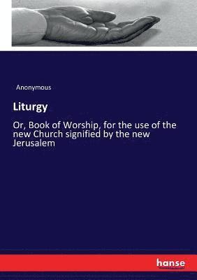 bokomslag Liturgy