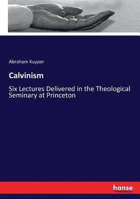 bokomslag Calvinism