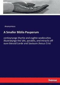 bokomslag A Smaller Biblia Pauperum