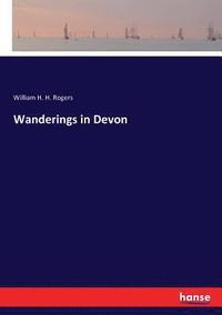 bokomslag Wanderings in Devon