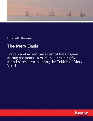 Merv Oasis