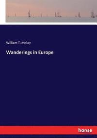 bokomslag Wanderings in Europe