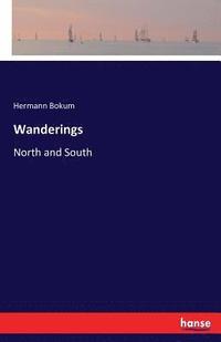 bokomslag Wanderings