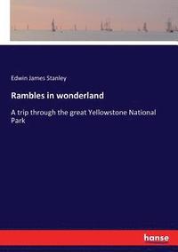 bokomslag Rambles in wonderland