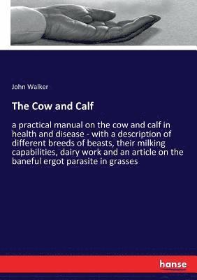 The Cow and Calf 1