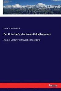 bokomslag Der Unterkiefer des Homo Heidelbergensis