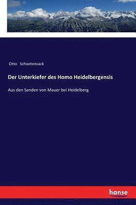 bokomslag Der Unterkiefer des Homo Heidelbergensis