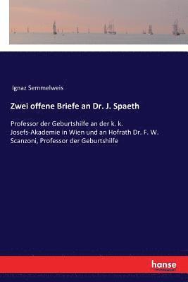 bokomslag Zwei offene Briefe an Dr. J. Spaeth