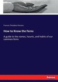 bokomslag How to Know the Ferns