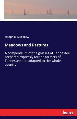 Meadows and Pastures 1
