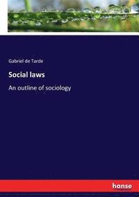 bokomslag Social laws