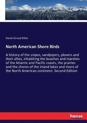 North American Shore Birds 1