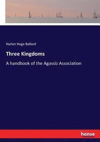 bokomslag Three Kingdoms