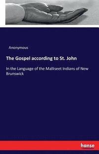 bokomslag The Gospel according to St. John