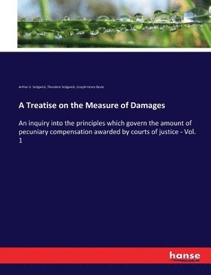 bokomslag A Treatise on the Measure of Damages