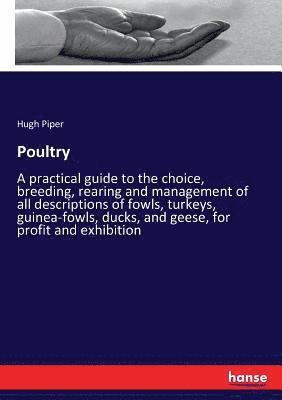 Poultry 1