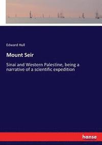 bokomslag Mount Seir