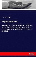 bokomslag Pilgrim Melodies