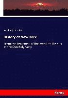 bokomslag History of New York