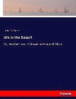 Life in the Desert 1