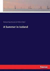 bokomslag A Summer in Iceland