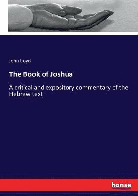 bokomslag Book of Joshua