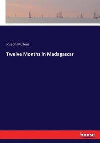 bokomslag Twelve Months in Madagascar