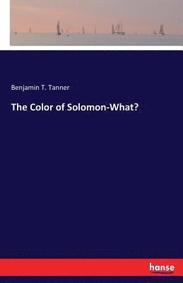 bokomslag The Color of Solomon-What?