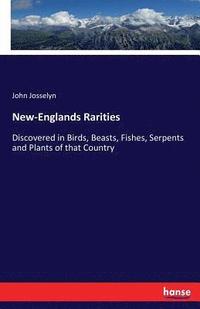 bokomslag New-Englands Rarities