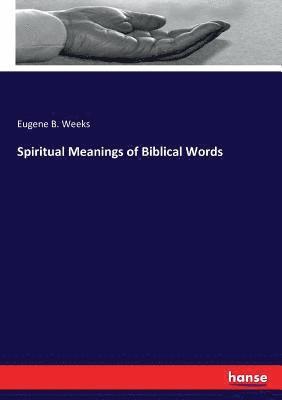 bokomslag Spiritual Meanings of Biblical Words