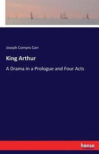 bokomslag King Arthur