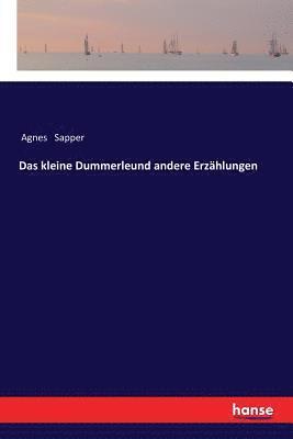 Agnes Sapper - kleine Dummerleund andere Erzählungen, Häftad