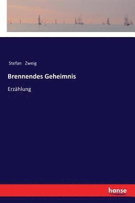 Stefan Zweig - Brennendes Geheimnis, Häftad